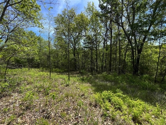 1602 County Road 148, Eureka Springs, AR 72632