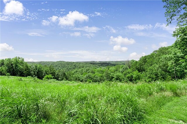 1602 County Road 148, Eureka Springs, AR 72632