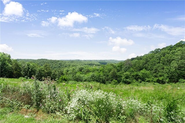 1602 County Road 148, Eureka Springs, AR 72632