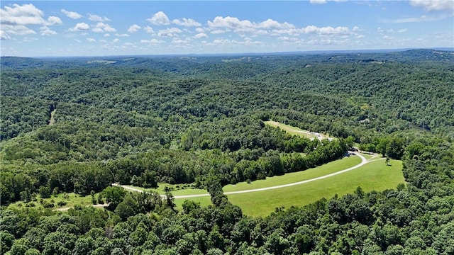 1602 County Road 148, Eureka Springs, AR 72632