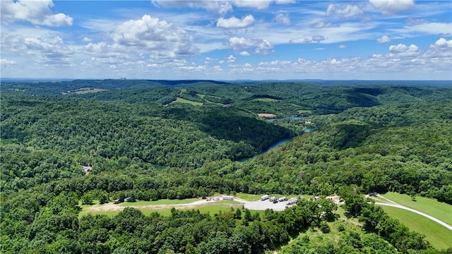 1602 County Road 148, Eureka Springs, AR 72632