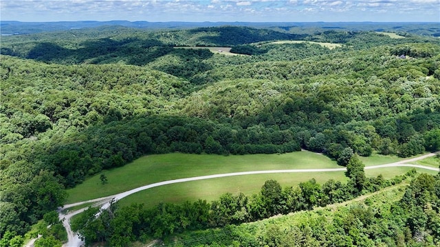 1602 County Road 148, Eureka Springs, AR 72632
