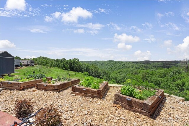 1602 County Road 148, Eureka Springs, AR 72632 - photo 21