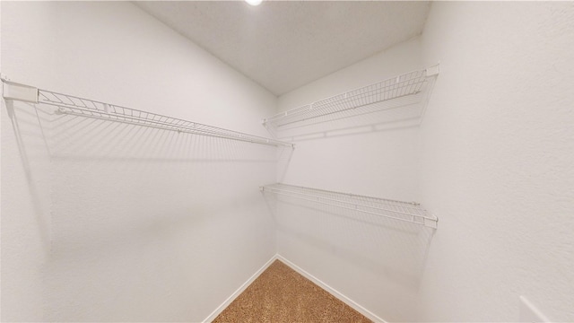 1142 S Jasmine Ln, Fayetteville, AR 72704 - walk in closet with carpet