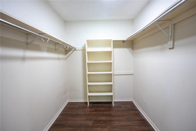 2472 W Jane Circle Dr, Fayetteville, AR 72704 - spacious closet featuring wood finished floors