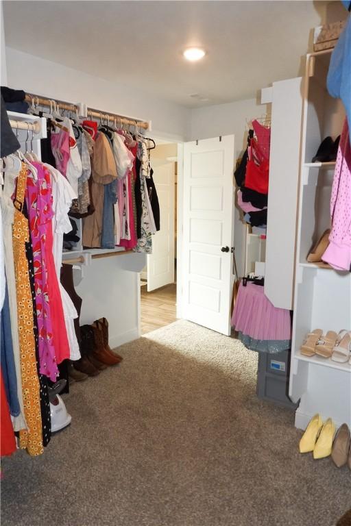 5399 Clear Springs Ave, Springdale, AR 72762 - spacious closet with carpet floors