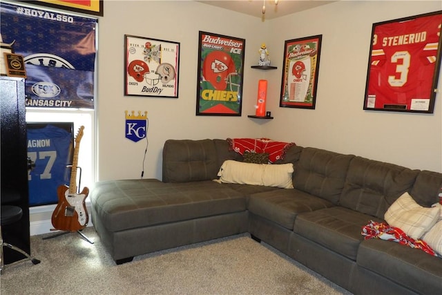 5399 Clear Springs Ave, Springdale, AR 72762 - living room with carpet flooring