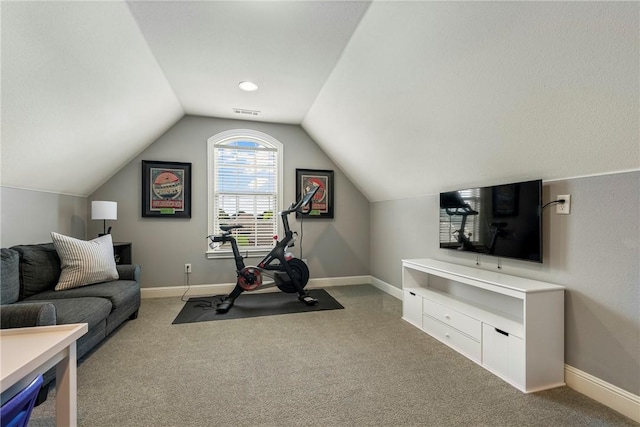 5503 S Turnberry Rd, Rogers, AR 72758 - workout room with carpet flooring and vaulted ceiling