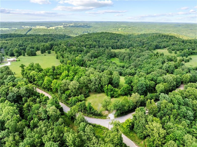 375 Tomahawk Slab Rd, Saint Joe, AR 72650 - photo 1