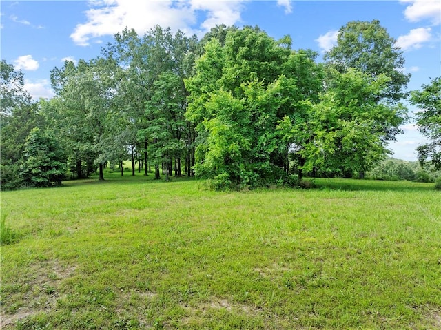 375 Tomahawk Slab Rd, Saint Joe, AR 72650 - photo 4
