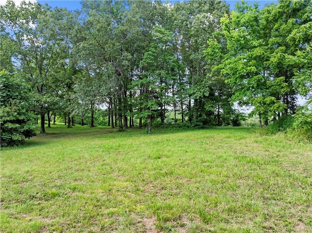 375 Tomahawk Slab Rd, Saint Joe, AR 72650 - photo 5