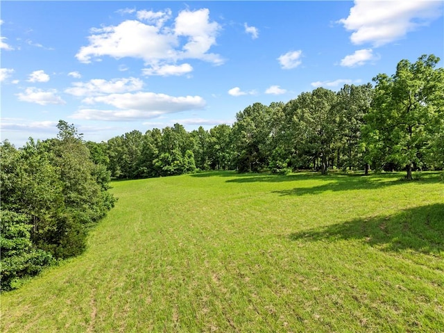 375 Tomahawk Slab Rd, Saint Joe, AR 72650 - photo 6