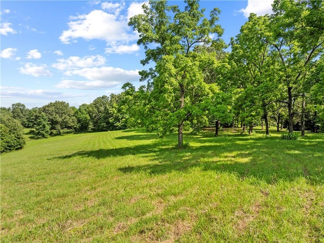 375 Tomahawk Slab Rd, Saint Joe, AR 72650 - photo 7