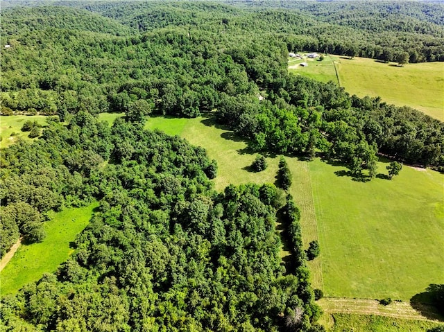 375 Tomahawk Slab Rd, Saint Joe, AR 72650 - photo 10