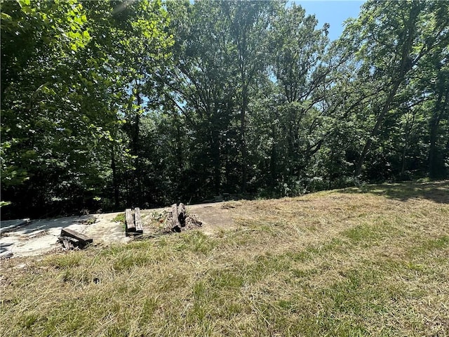 16200 Robin Rd, Bella Vista, AR 72715 - photo 5