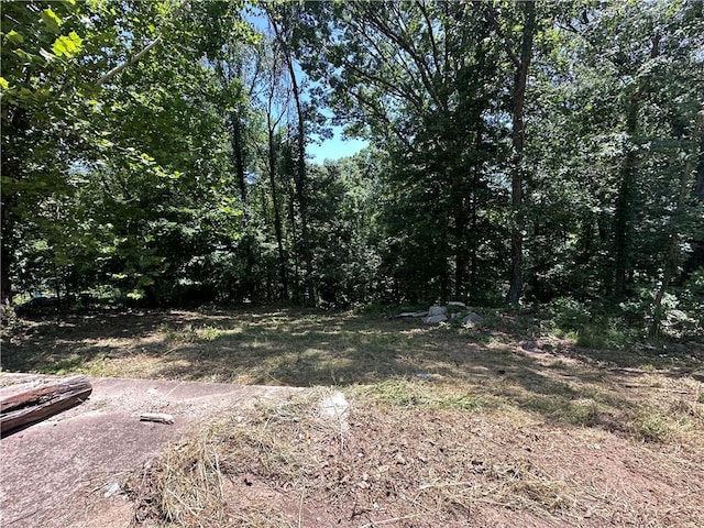 16200 Robin Rd, Bella Vista, AR 72715 - photo 6