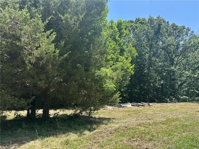 16200 Robin Rd, Bella Vista, AR 72715 - photo 12