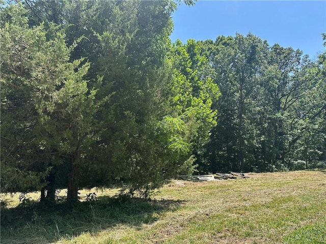 16200 Robin Rd, Bella Vista, AR 72715 - photo 13