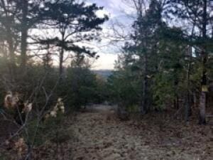 19641 Stonington Rd, Omaha, AR 72601