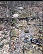 19641 Stonington Rd, Omaha, AR 72601