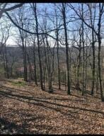 19641 Stonington Rd, Omaha, AR 72601