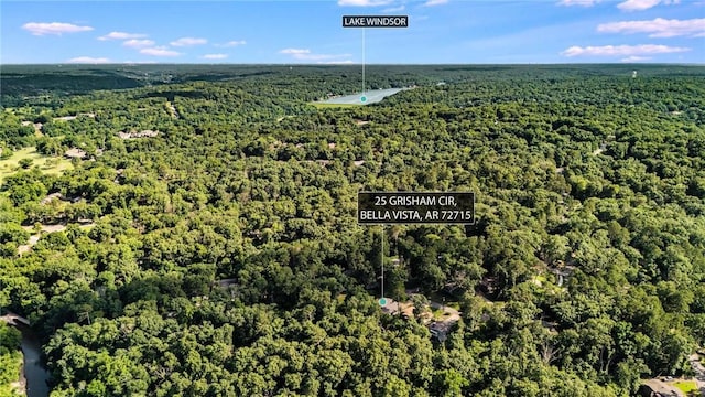 25 Grisham Cir, Bella Vista, AR 72715 - aerial view of property's location featuring a heavily wooded area