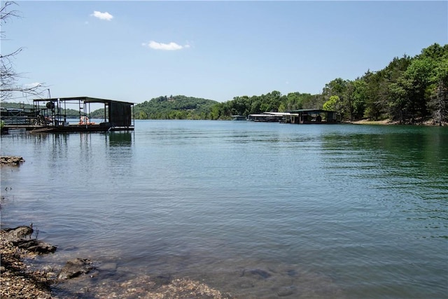 21337 Black Oak Dr, Garfield, AR 72732 - photo 23