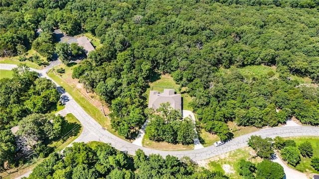 12627 Lodge Dr, Garfield, AR 72732 - photo 41