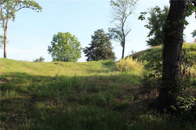 000 Woodland Ct, Branson, MO 65616 - photo 2