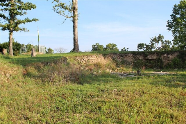 000 Woodland Ct, Branson, MO 65616 - photo 6