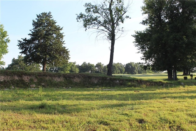 000 Woodland Ct, Branson, MO 65616 - photo 7