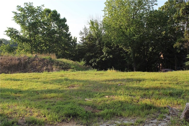 000 Woodland Ct, Branson, MO 65616 - photo 10