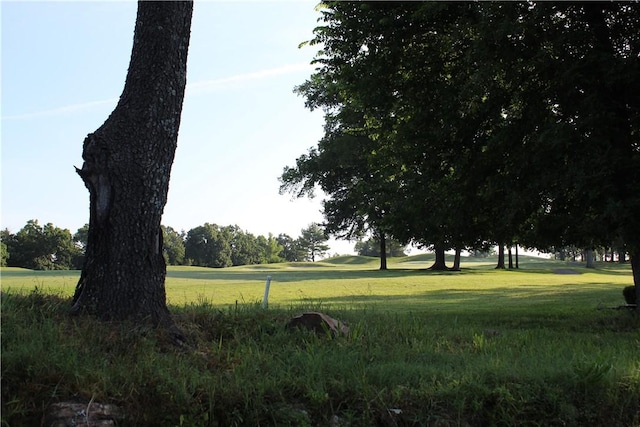 000 Woodland Ct, Branson, MO 65616 - photo 12