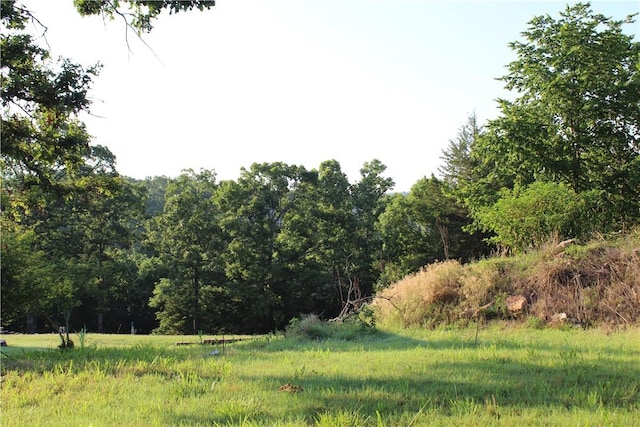 000 Woodland Ct, Branson, MO 65616 - photo 19