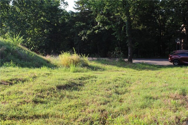 000 Woodland Ct, Branson, MO 65616 - photo 21