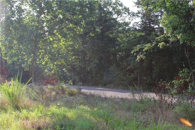 000 Woodland Ct, Branson, MO 65616 - photo 22