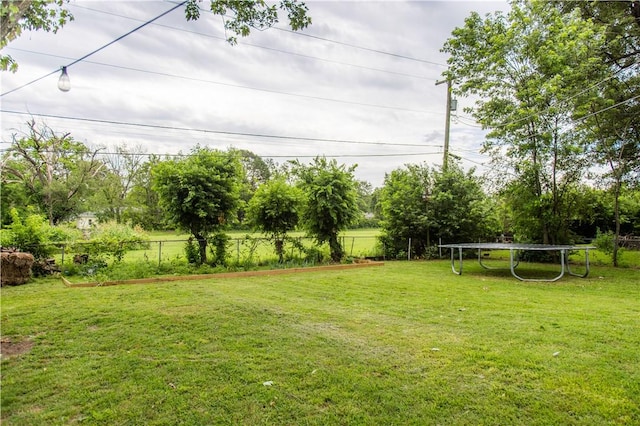 805 S Oak Hill St, Siloam Springs, AR 72761 - view of yard