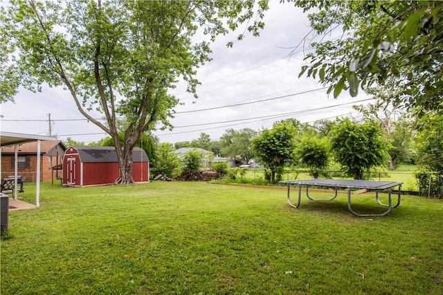 805 S Oak Hill St, Siloam Springs, AR 72761 - view of yard featuring a trampoline and a storage shed