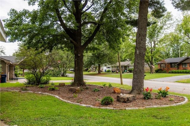 805 S Oak Hill St, Siloam Springs, AR 72761 - view of green lawn