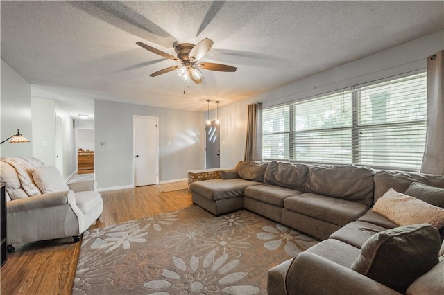 805 S Oak Hill St, Siloam Springs, AR 72761 - living room featuring wood finished floors, a ceiling fan, and a textured ceiling