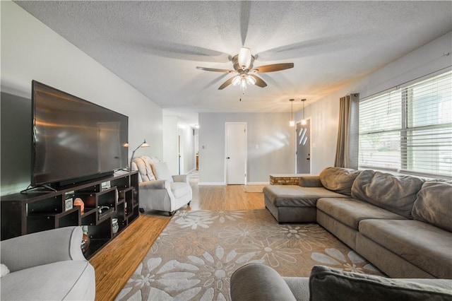 805 S Oak Hill St, Siloam Springs, AR 72761 - living room with ceiling fan, wood finished floors, and a textured ceiling