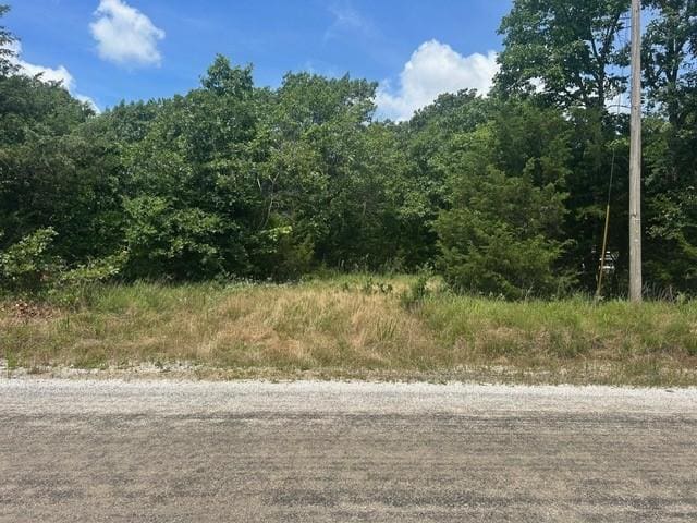 14295 Blue Mountain Rd, Prairie Grove, AR 72753 - photo 1