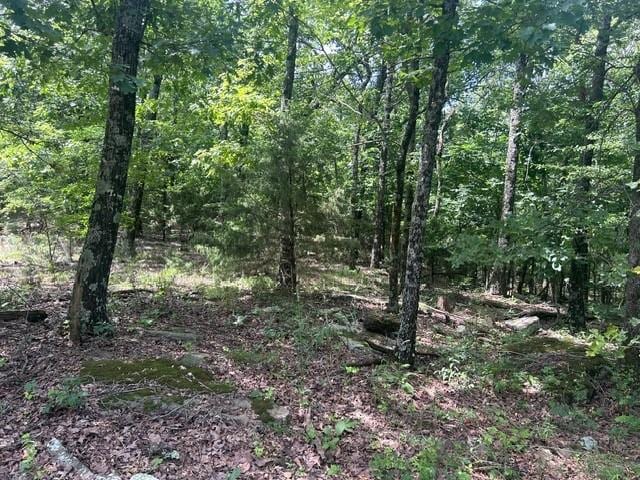 14295 Blue Mountain Rd, Prairie Grove, AR 72753 - photo 2