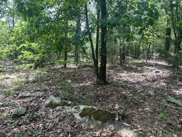 14295 Blue Mountain Rd, Prairie Grove, AR 72753 - photo 3