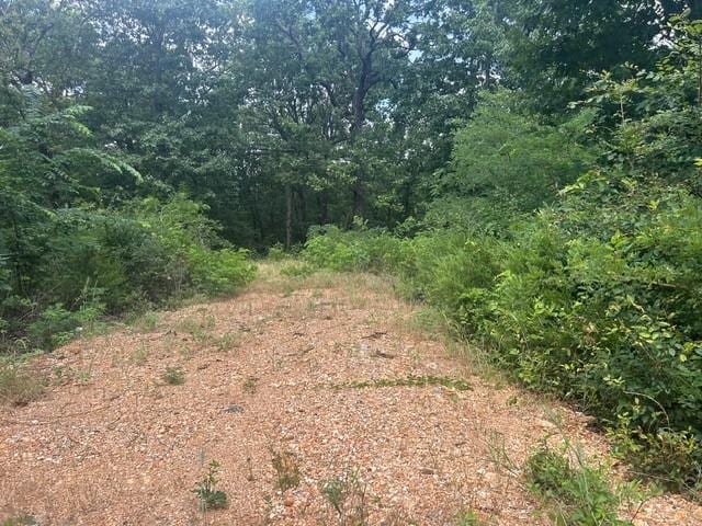 14295 Blue Mountain Rd, Prairie Grove, AR 72753 - photo 8