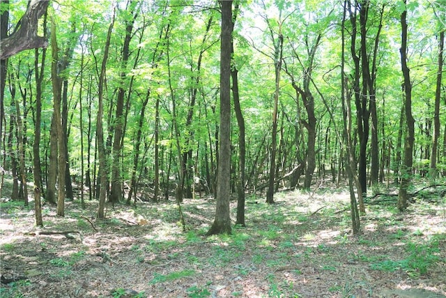 000 Hale Mountain Rd, Canehill, AR 72717 - photo 25