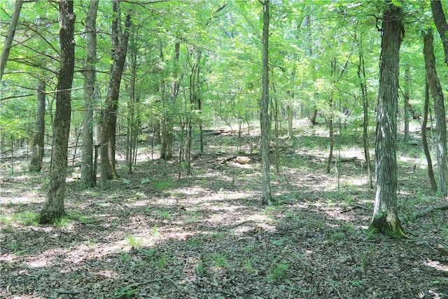 000 Hale Mountain Rd, Canehill, AR 72717 - photo 28