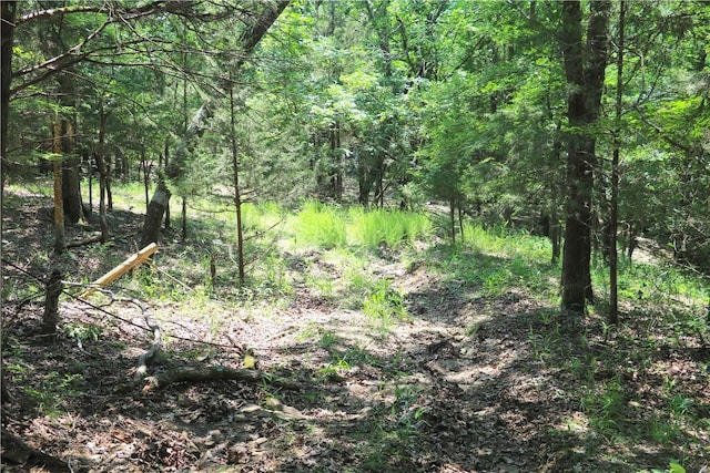 000 Hale Mountain Rd, Canehill, AR 72717 - photo 29