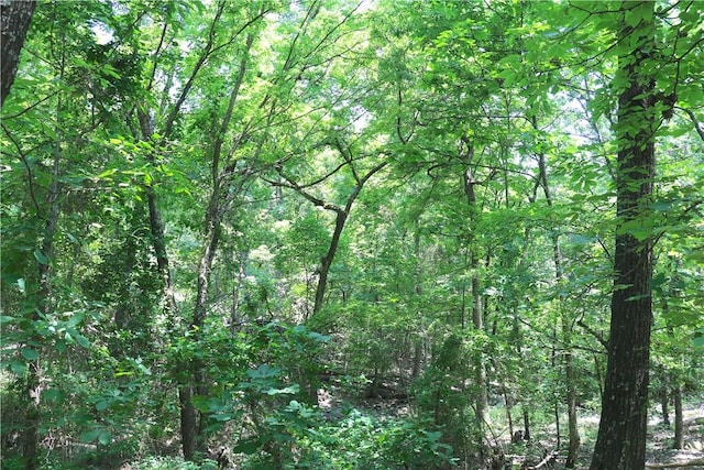 000 Hale Mountain Rd, Canehill, AR 72717 - photo 30