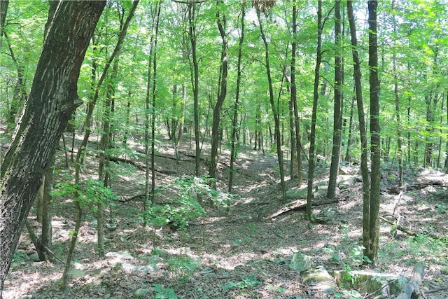 000 Hale Mountain Rd, Canehill, AR 72717 - photo 31